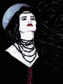 Dark Rose