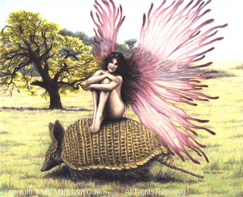Armadillo Fairy